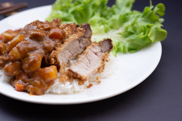 Rice with deep fried pork and curry in Japanese style. soft focus