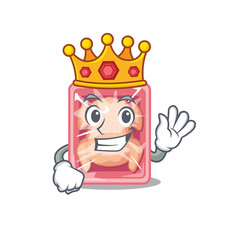 A Wise King of frozen chicken mascot design style