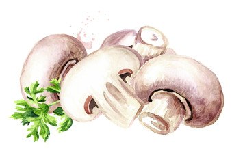Fototapeta na wymiar Fresh mushroom champignon with herbs. Watercolor hand drawn illustration, isolated on white background