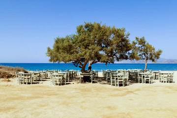 Tree tavern at Naxos beach - obrazy, fototapety, plakaty