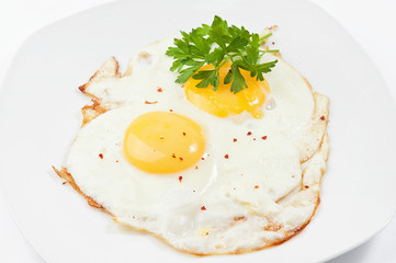 Fried eggs with parsley in a white plate on a white background.