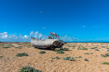 Dungeness Boat