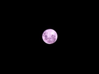 Obraz premium Full Moon