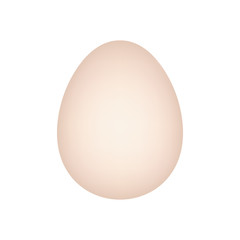 Illustrated animal egg, realistic style illustration - Vector