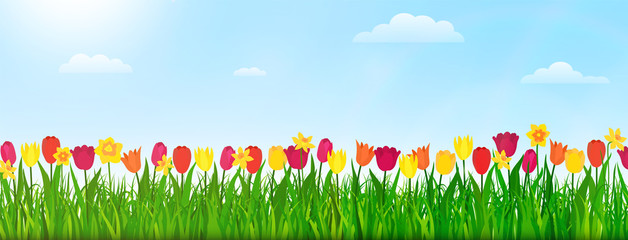 Spring nature landscape with flowers, green grass and blue sky. Vector illustration