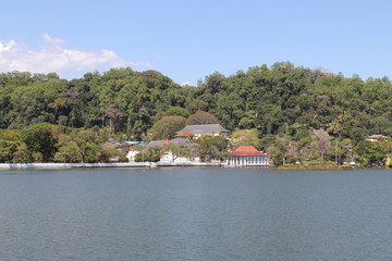 Fototapeta na wymiar Rives du Lac de Kandy Sri Lanka