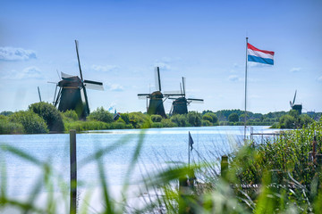 Beautiful windmills in Dutch landscape © wusuowei