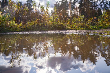 summer landscape of lake with vegetation on the shore and reflactive sky and clouds in the water