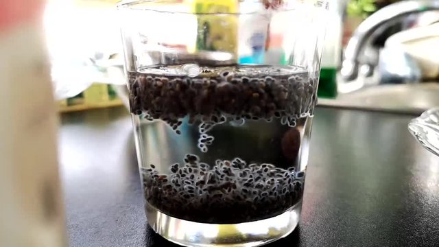 healthy food video and time lapse of soaking chia seeds in water, the seeds visibly absorbing the water and growing