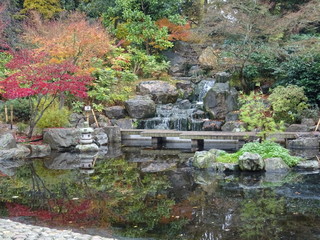 Fototapeta na wymiar Asian garden in a park of London