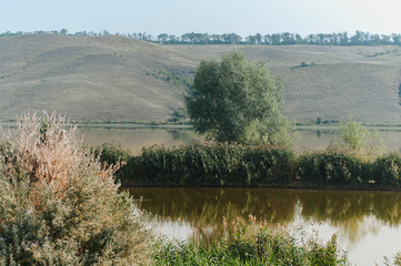 Pond. Ecological concept. Summertime