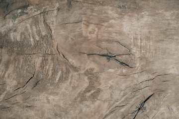 Texture of old wood with cracks and knots. Top view. Copy, empty space for text