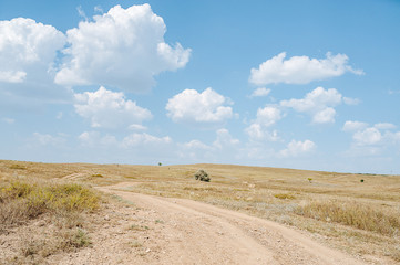 Obraz premium Country road. Ecology concept. Summer