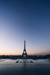 Foto op Plexiglas View of the Eiffel tower, Paris © Rawpixel.com