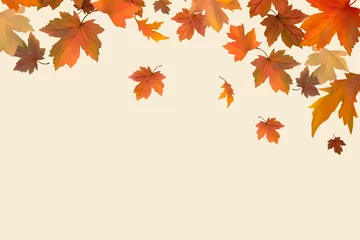 Foto op Canvas Autumn leaves background © Rawpixel.com