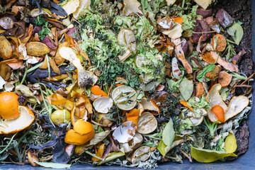 Vegetable and fruit scraps are composted to make compost.