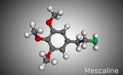 Mescaline molecule. It is hallucinogenic, psychedelic,  phenethylamine alkaloid Molecular model.