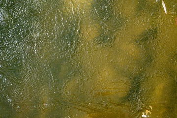 natural texture background spring ice