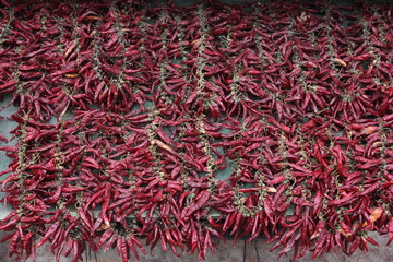 Naklejka premium table with red dry peppers