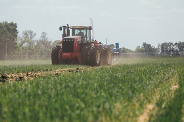 Fototapeta premium red tractor in a green field on a sunny day plows the soil while driving