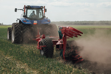 Fototapeta premium a massive red plow processes loosens the soil while the blue tractor is moving