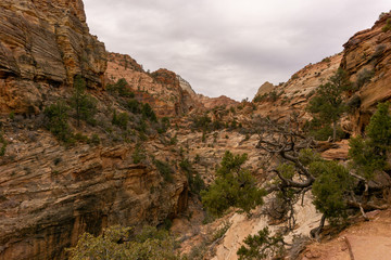 Krajobraz górski w Zion National Park © Piotr