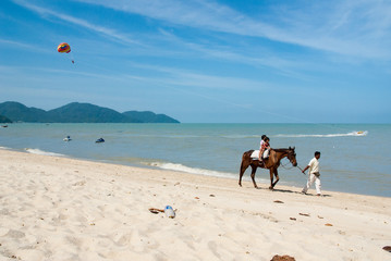 馬のいる風景、ビーチ：マレーシア：パラセーリング