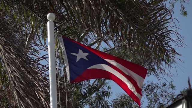 The flag of Cuba waving in the wind.