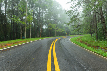 Fototapeta na wymiar Asphalt road through the forest in rainy season