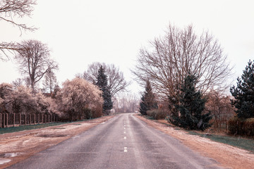 Village road. It snows in spring when the gardens bloom. Latvia, Kurzeme.