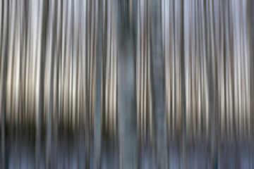 Abstract conceptual image for background and wall art. Motion blurred forest image for wallpaper...