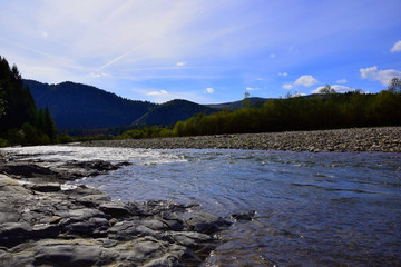 
rocky riverbank and autumn forest in the mountains