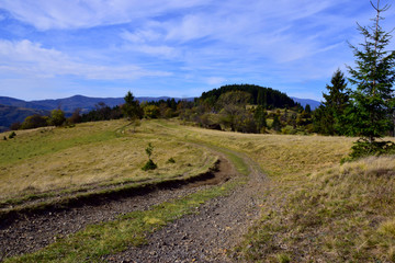 Fototapeta na wymiarmountain road and dry autumn grass on the slopes