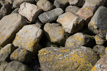 old large stones on the seashore covered with algae and moss