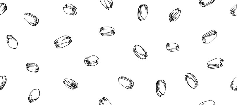 Hand Drawn Pistachios Seamless Pattern, Black Ink Drawing Sketch Vector Illustration On White Background