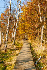 Nature preserve Soos near the small west Bohemian spa town Frantiskovy Lazne (Franzensbad) in autumn - Czech Republic