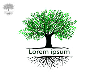 Obraz premium Trees with green leaves look beautiful and refreshing.Tree and roots LOGO style.