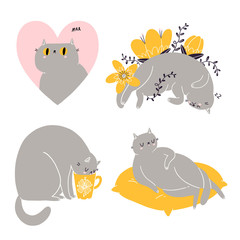 Cute british shorthair cat vector collection 6