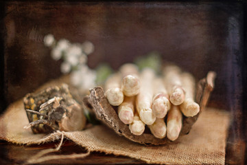 asparagus on a rustic brown background