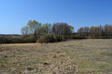 Eastern Europe spring landscape. Poltava Region