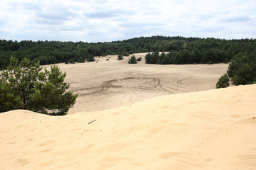 Fototapeta na wymiar Siedlce desert, near the Siedlec village, Krakow-Czestochowa Upland