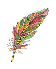 watercolor illustration of a feather