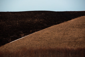 Burnt black earth as a result of artificial grass burning in the spring. Harm to nature.