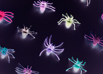 Cute little spiders on a paper