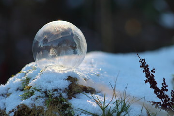 Gefrorene Seifenblase im morgendlichen Licht