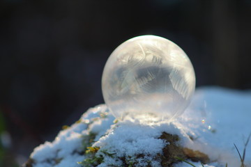 Gefrorene Seifenblase im morgendlichen Licht