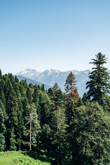 View of Mountains with green forest landscape