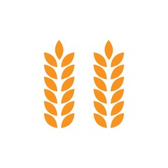 Agriculture wheat vector graphic design template isolated