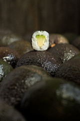 Avocado  and sushi