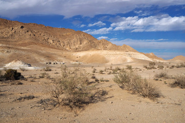The desert landscape with far light sandstone mountains and dried shrubs on foreground, the blue sky with white clouds